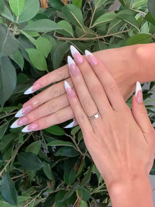 Classic French Stiletto Nails